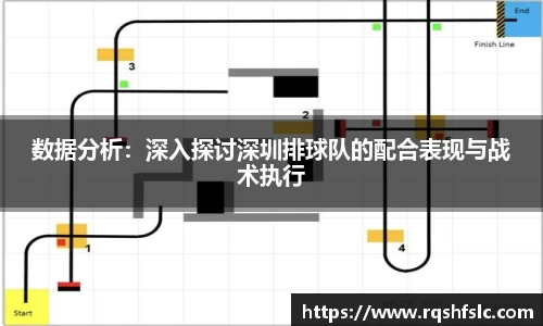 数据分析：深入探讨深圳排球队的配合表现与战术执行